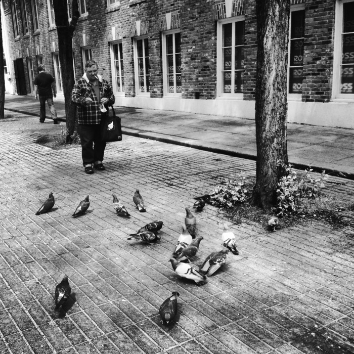 Feeding The Pigeons