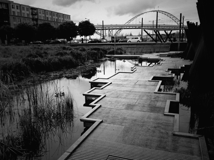 Tanner Springs Black And White